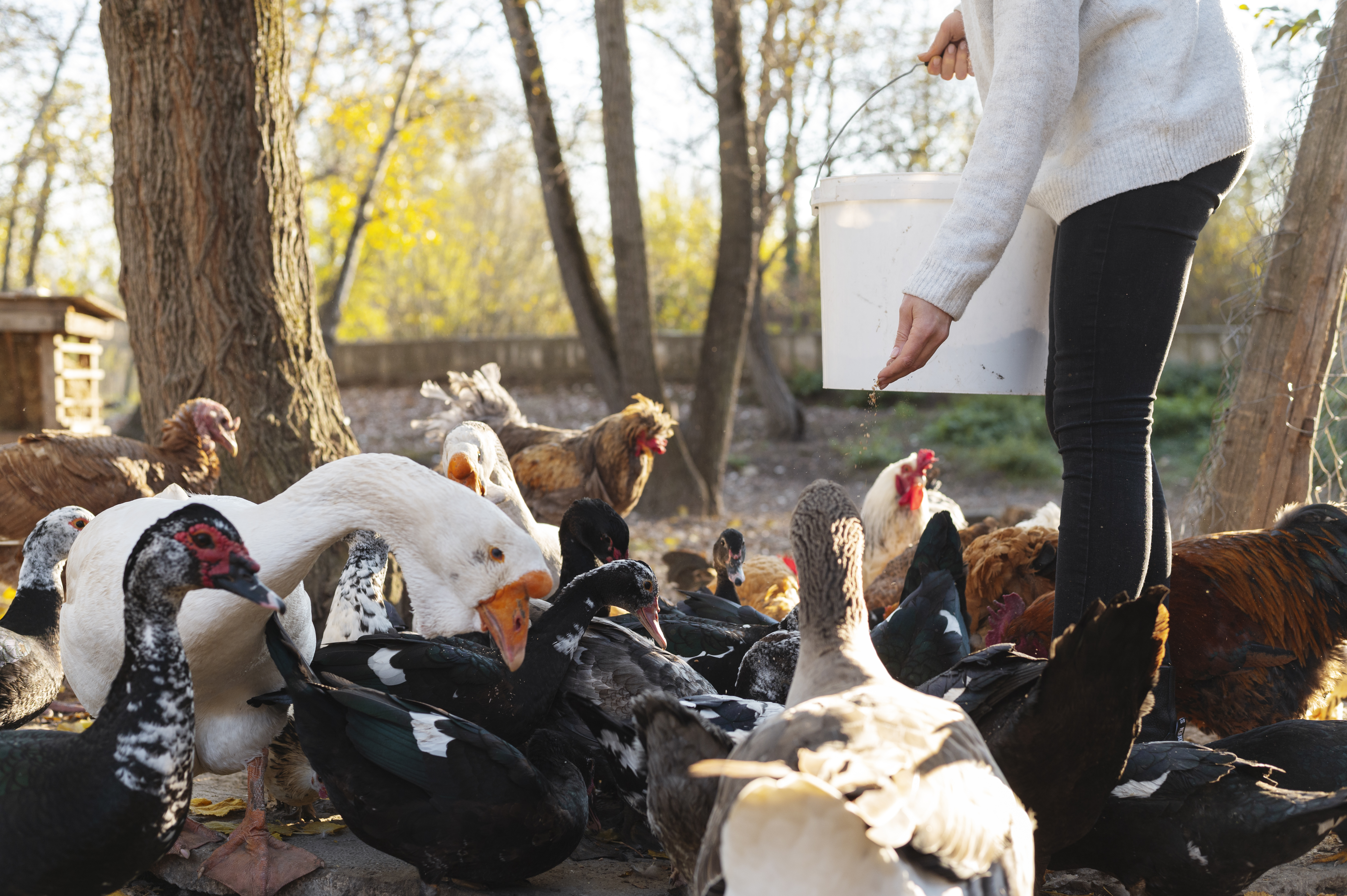 personnes-prenant-soin-ferme