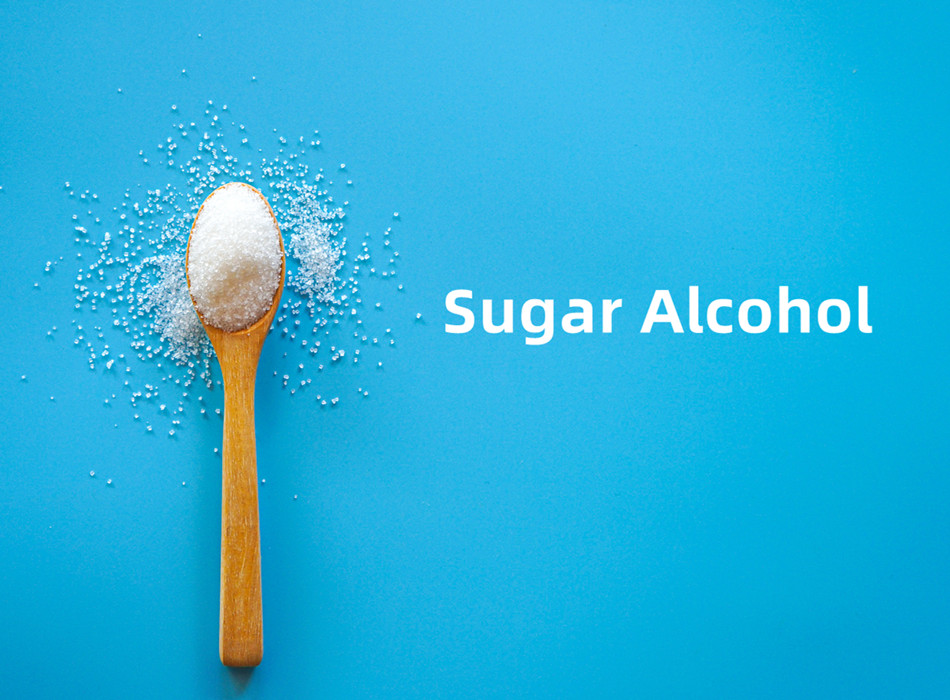 Que sont les alcools de sucre