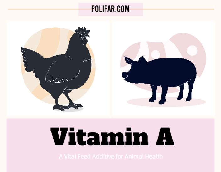 Vitamine A : un additif alimentaire vital pour la santé animale