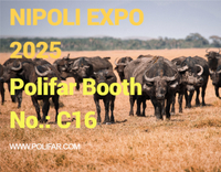 //5nrorwxhomonrik.leadongcdn.com/cloud/lmBqnKmmSRilpkipjkkq/NIPOLI-EXPO.jpg