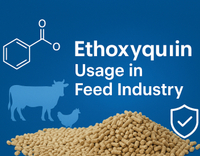 //5nrorwxhomonrik.leadongcdn.com/cloud/lmBqnKmmSRjlijqnnlkq/Ethoxyquin-Usage-in-Feed-Industry.jpg