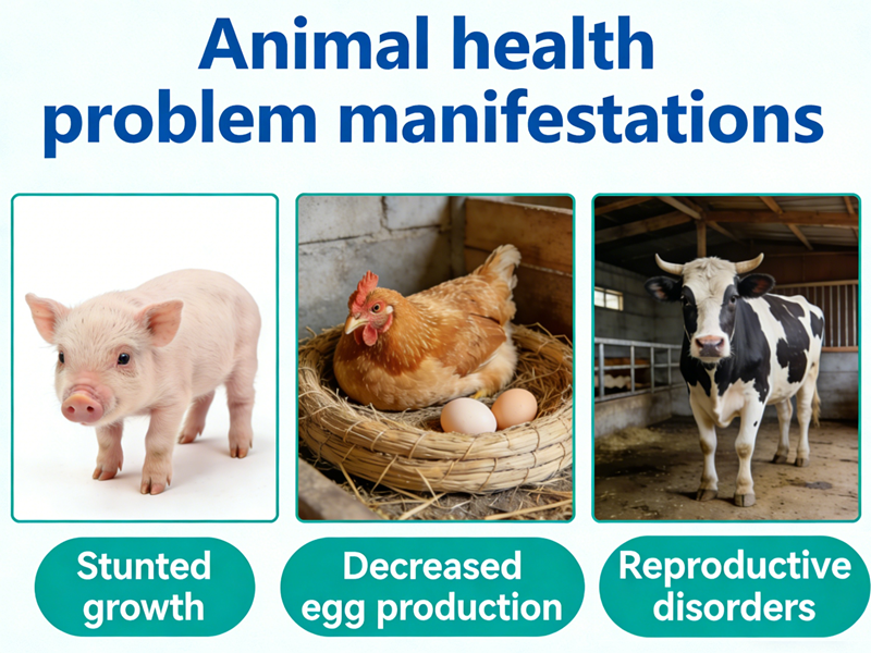 Sympt&ocirc;mes d'une carence en chol&eacute;calcif&eacute;rol