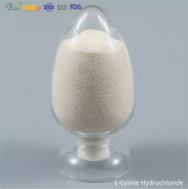 L chlorhydrate de lysine