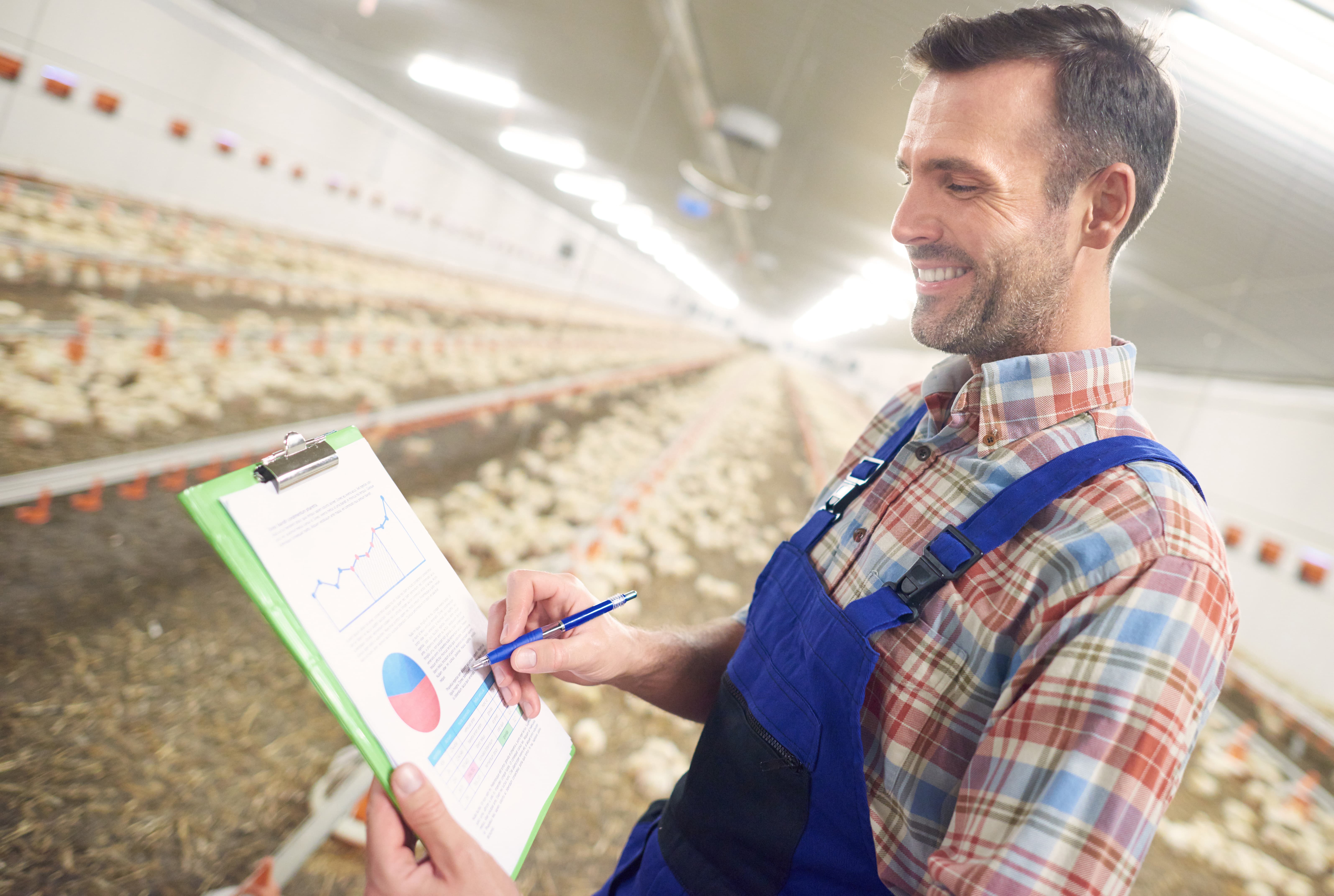 un jeune agriculteur étudie les données sur la croissance des poulets