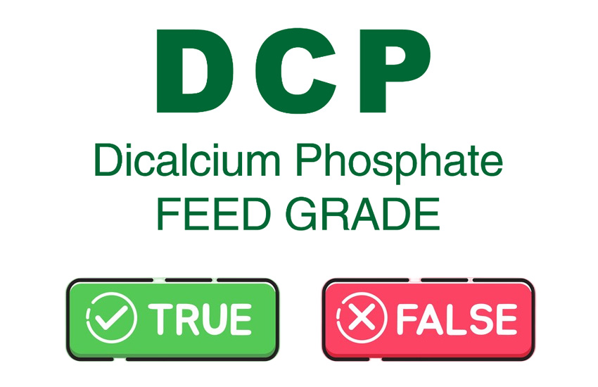 Méthode d'identification du phosphate dicalcique de qualité alimentaire