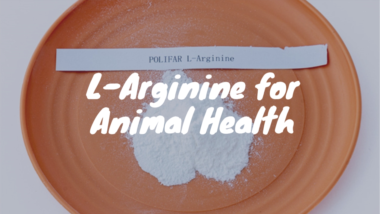 L-Arginine pour les animaux