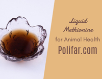//5nrorwxhomonrik.leadongcdn.com/cloud/lnBqnKmmSRrliiklrkko/Polifar-Liquid-Methionine.jpg