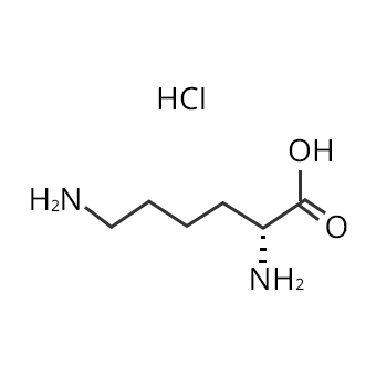 Structure du chlorhydrate de L Lysine