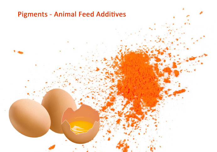 Pigments - Additifs pour l'alimentation animale
