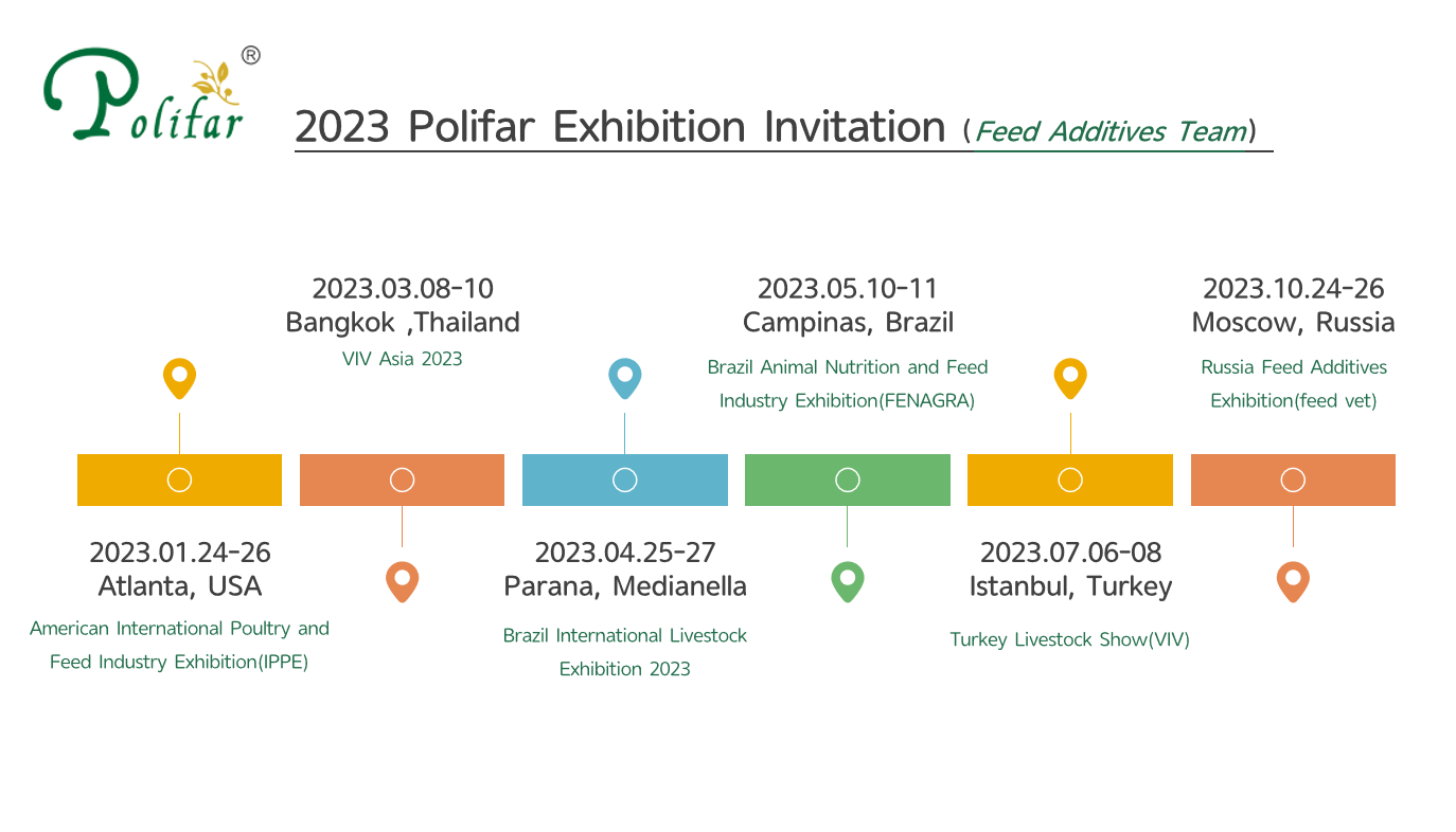 2023 Invitation d'exposition Polifar de l'équipe d'additifs de flux