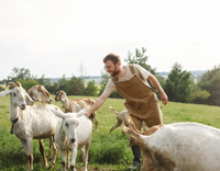 //5nrorwxhomonrik.leadongcdn.com/cloud/lqBqnKmmSRrloioknkkq/cattle.jpg