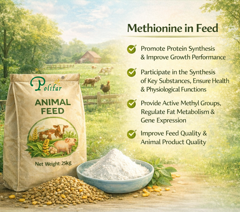 Efficacit&eacute; et effets de la m&eacute;thionine