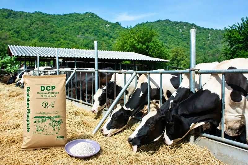 DCP dans les additifs alimentaires