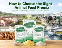 //5nrorwxhomonrik.leadongcdn.com/cloud/pmBqnKmmSRqlinmlmqkm/How-to-Choose-the-Right-Animal-Feed-Premix.jpg