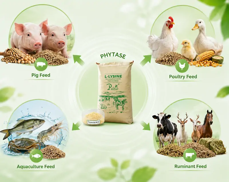 Application de la phytase dans l’industrie de l’alimentation animale