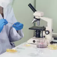 Inspection du produit fini