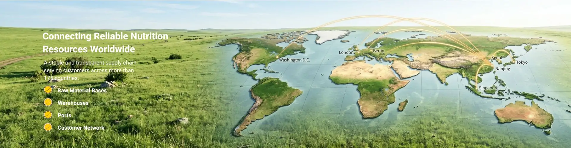 Réseau mondial de chaîne d'approvisionnement Polifar